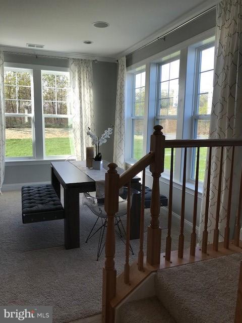 THE GALLERY - Residential