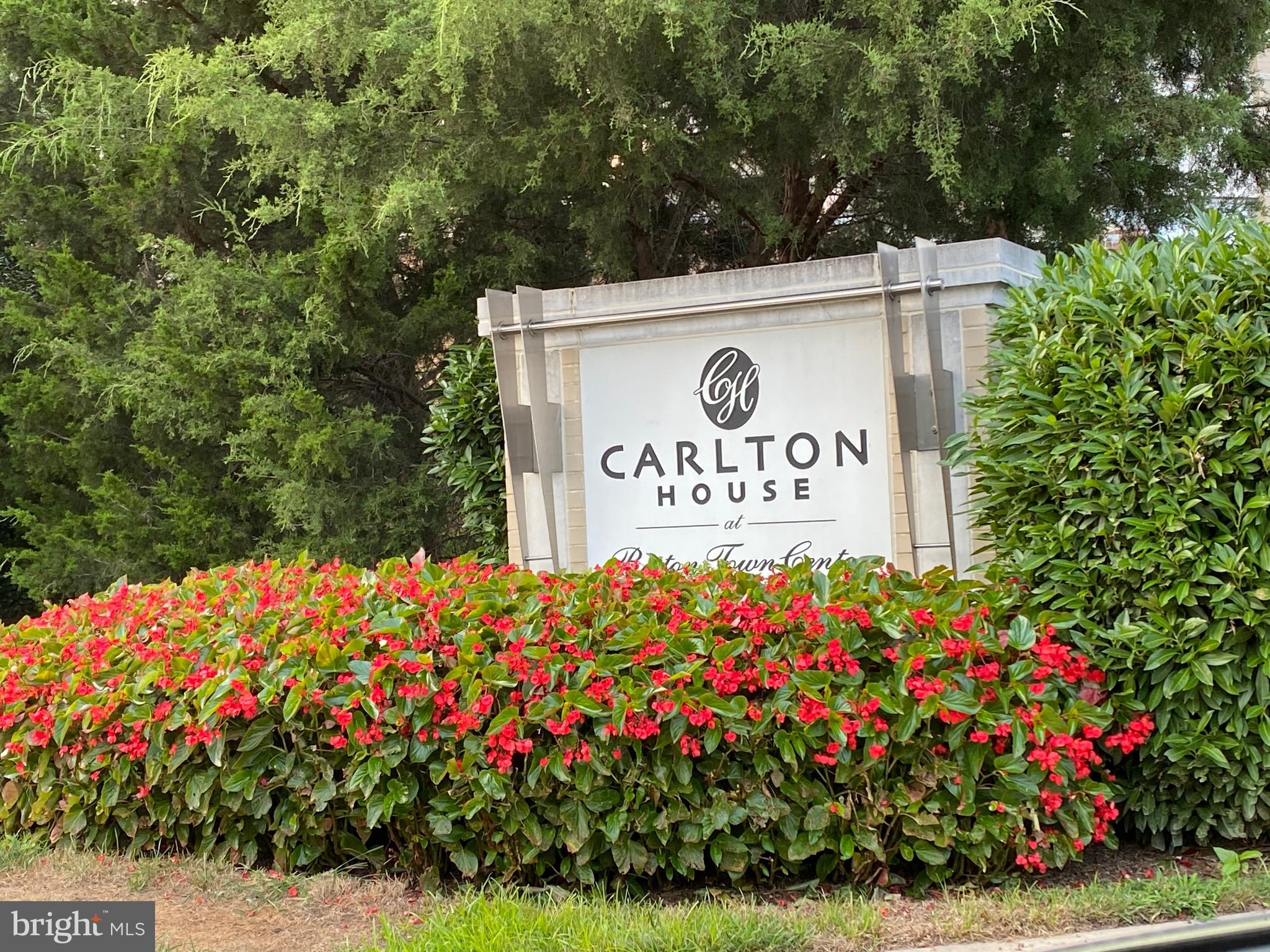 11800 SUNSET HILLS ROAD 313