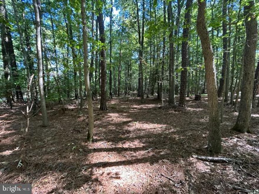 Rare 17+/- acre lot offering in Bozman.  Water view lot with stunning home site potential and hunting opportunities.  Located in S-1 priority for sewer allocation, perc re-evaluation in process.