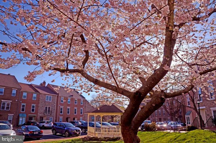 LAUREL MEWS - Residential Lease