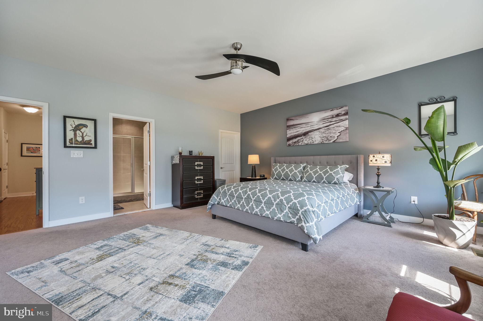 SPRING OAKS - Residential
