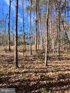 (lot 45) VERMONT ROAD