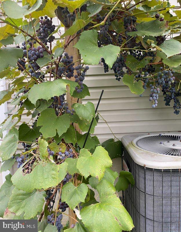 WALKER MEADOWS - Residential