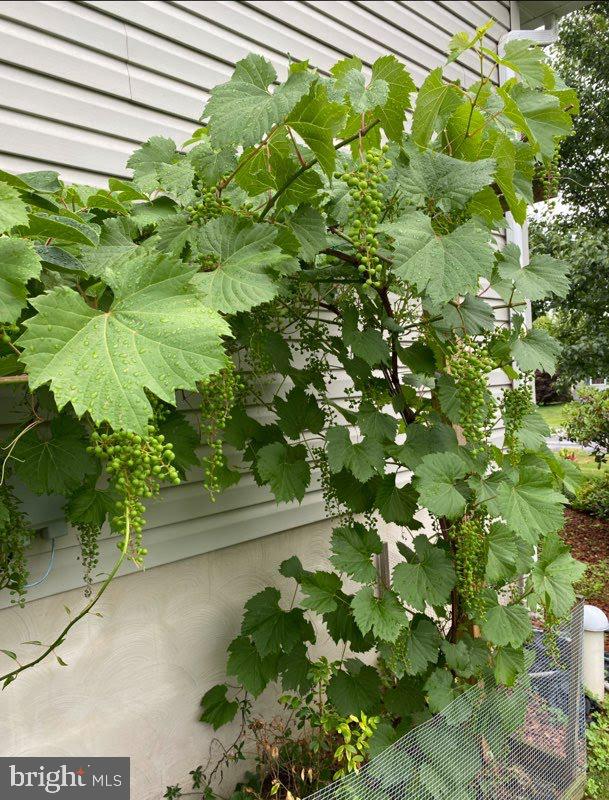 WALKER MEADOWS - Residential