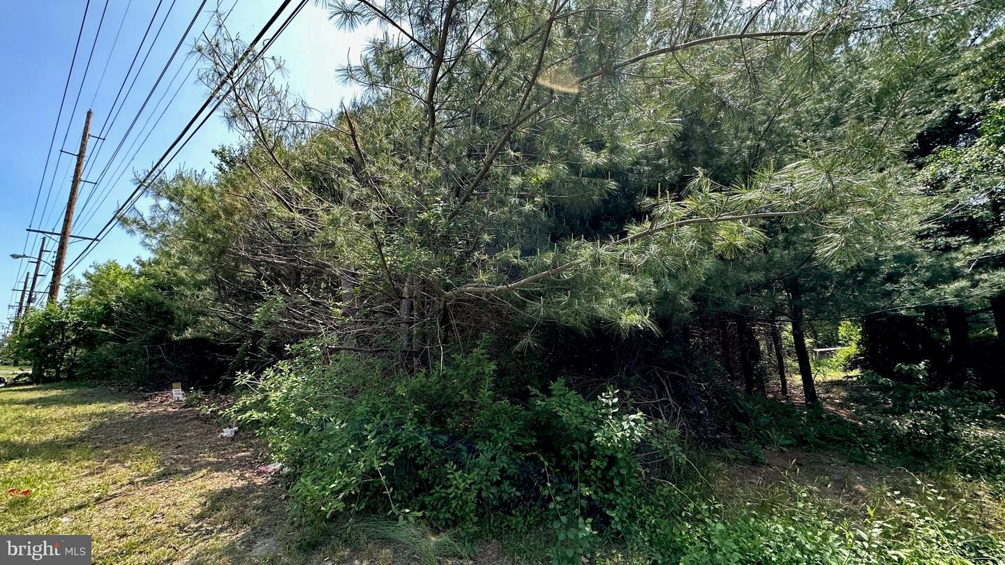 0 PINEY HOLLOW ROAD