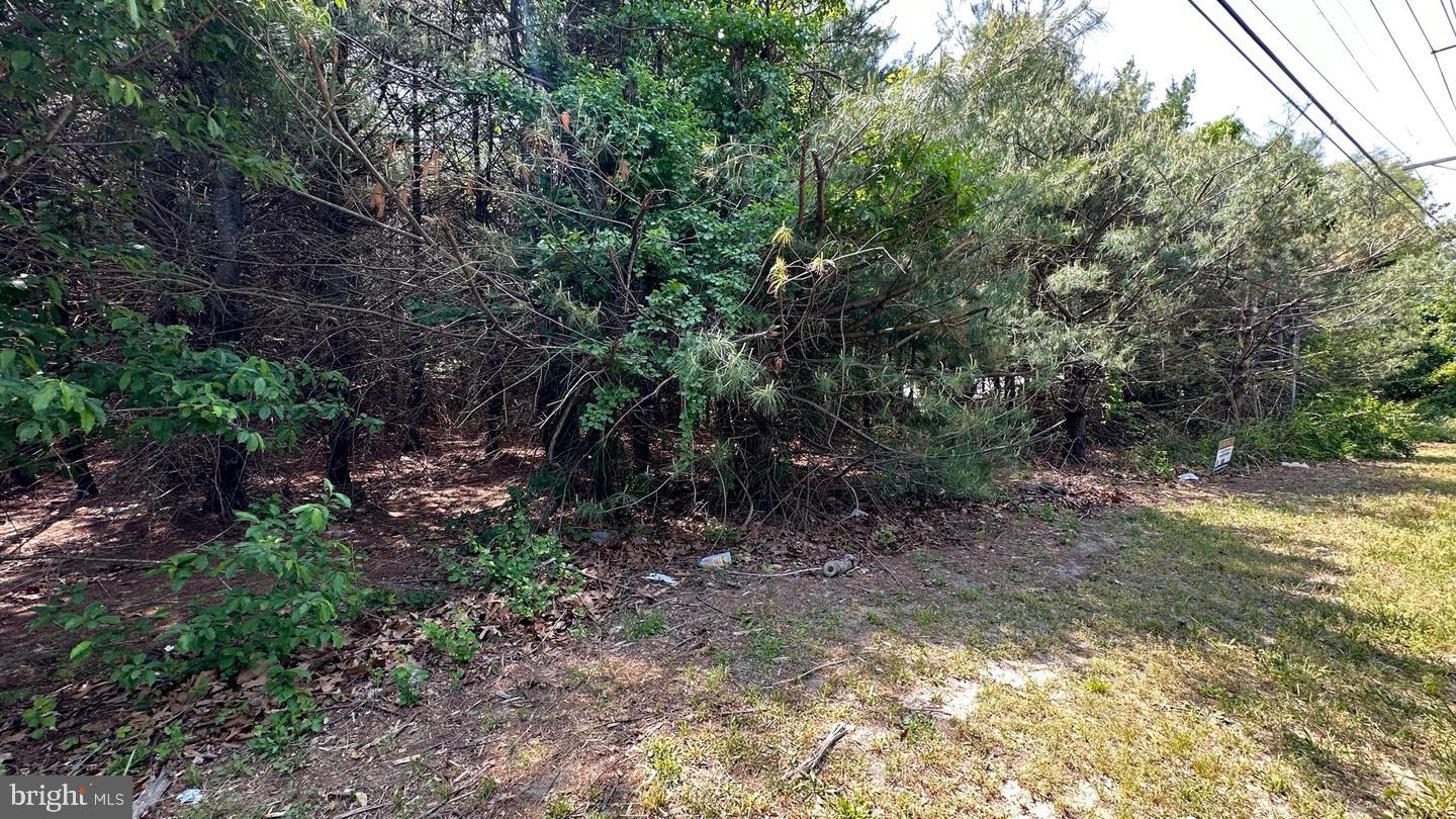 0 PINEY HOLLOW ROAD