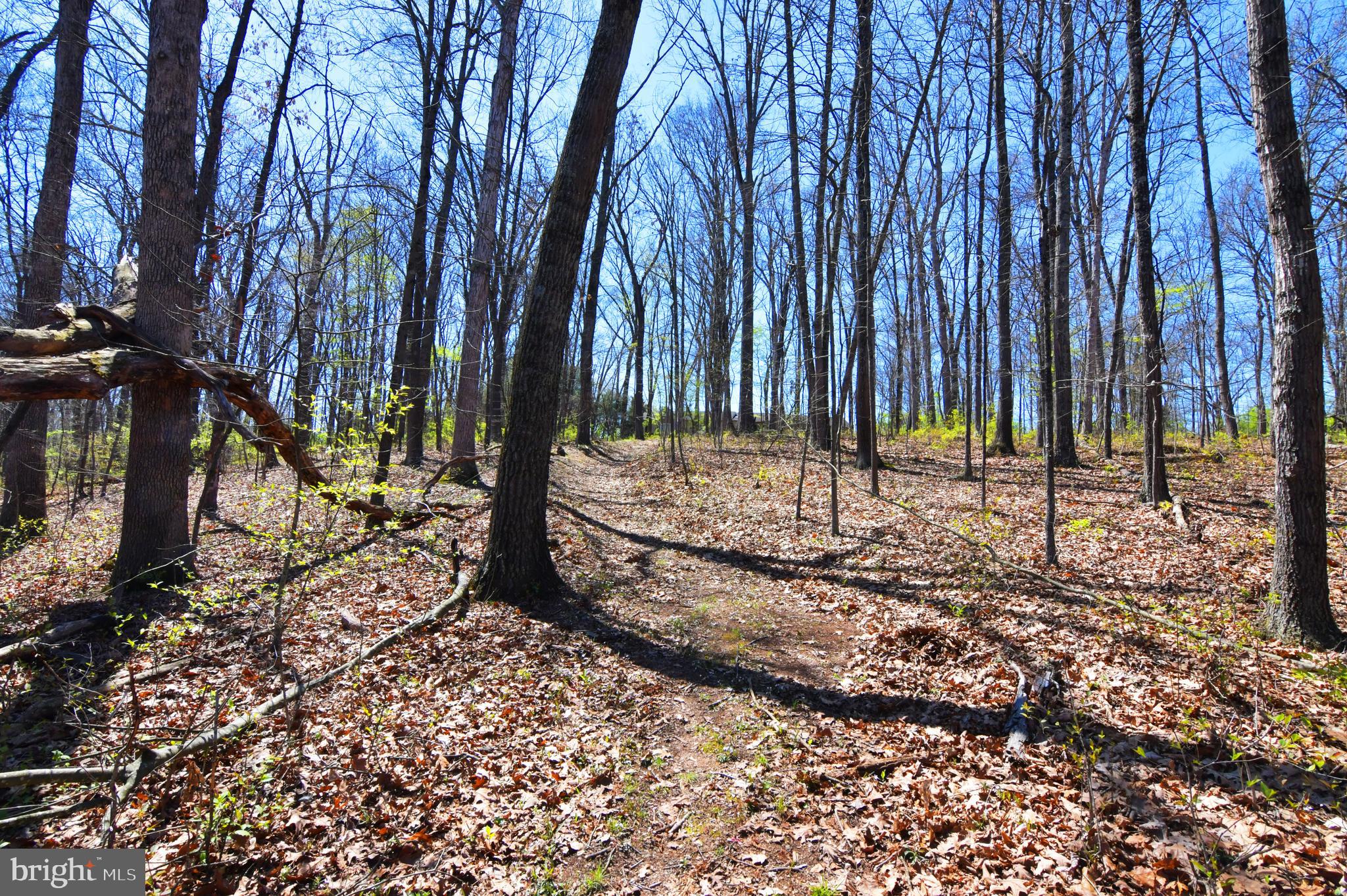 OPEQUON RIDGE III - Residential