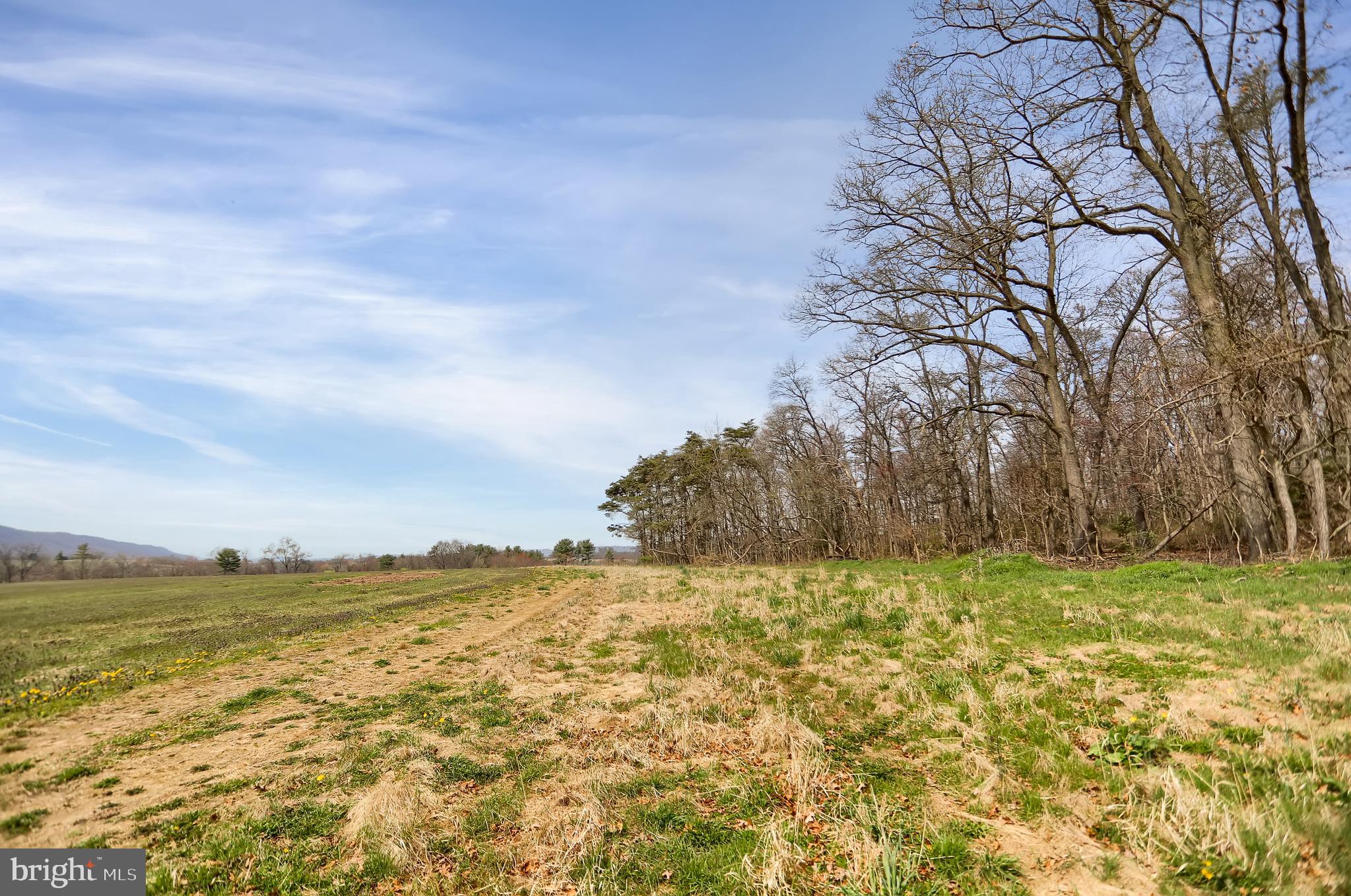 NONE AVAILABLE - Land