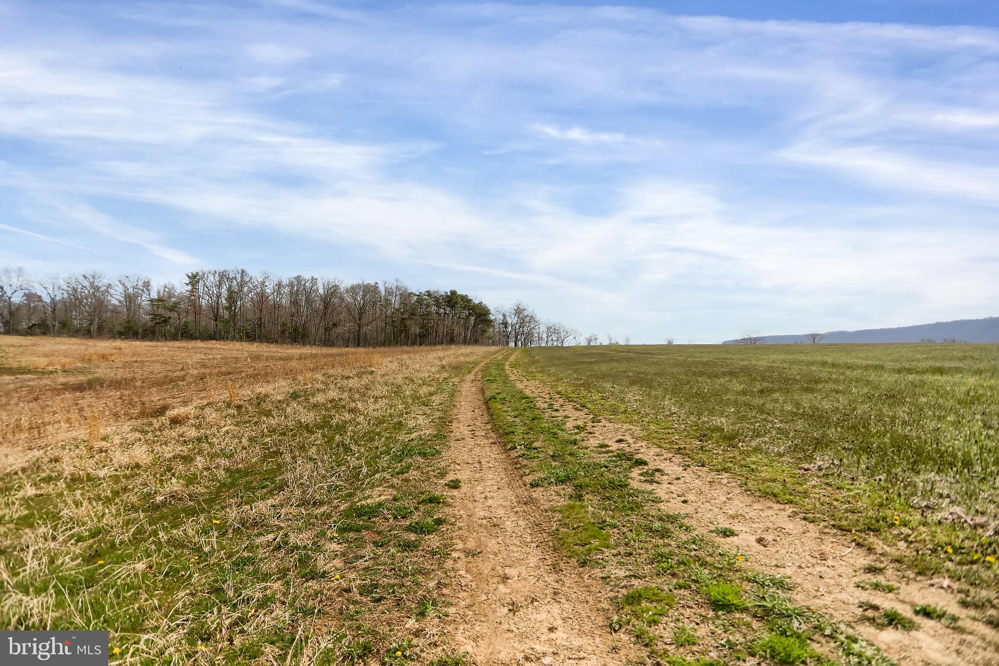 NONE AVAILABLE - Land