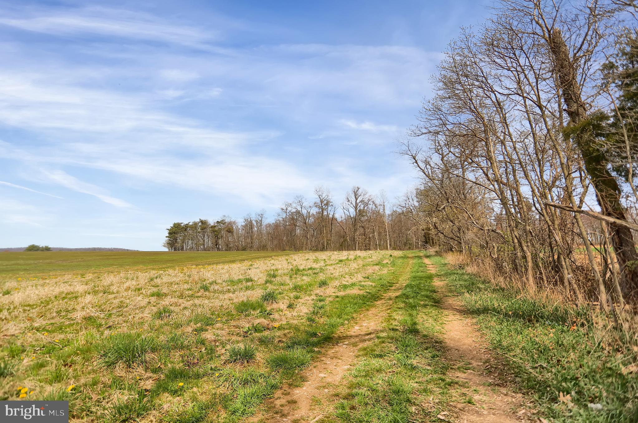 NONE AVAILABLE - Land