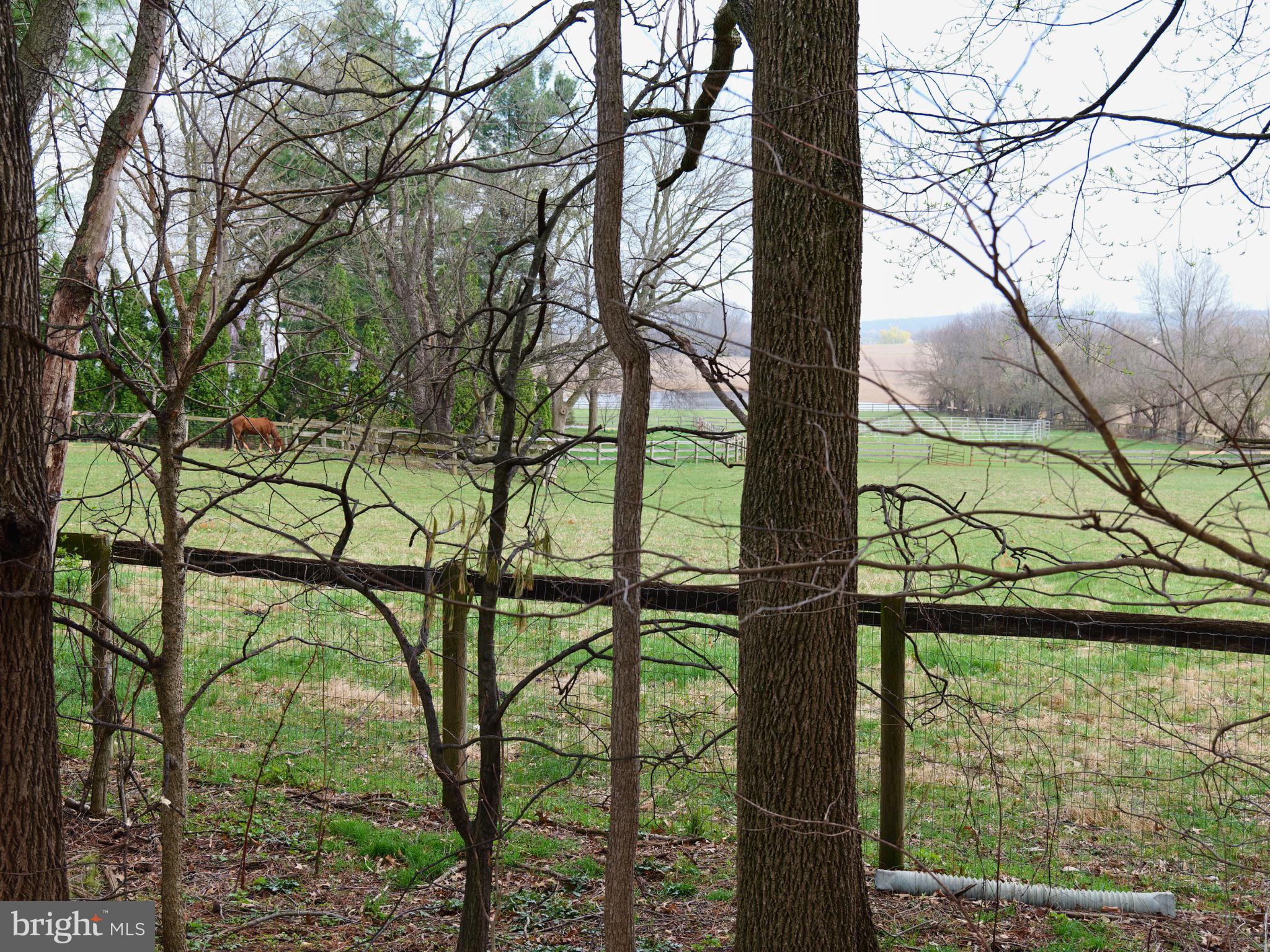 ROCKLEDGE - Residential