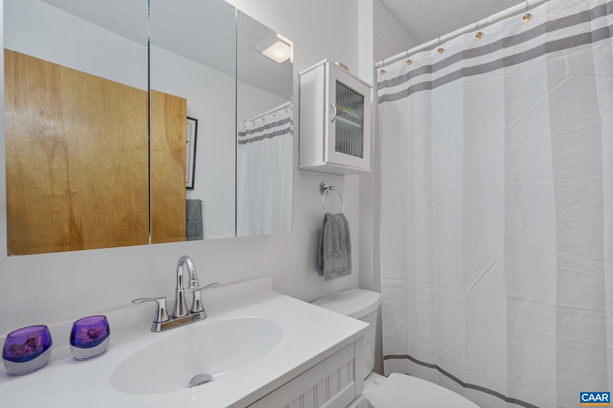 LAKE MONTICELLO - Residential