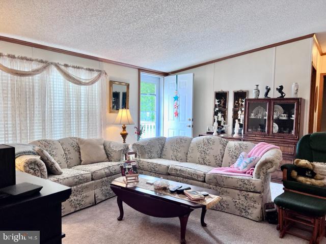 VILLAGE OF CECIL WOODS - Residential