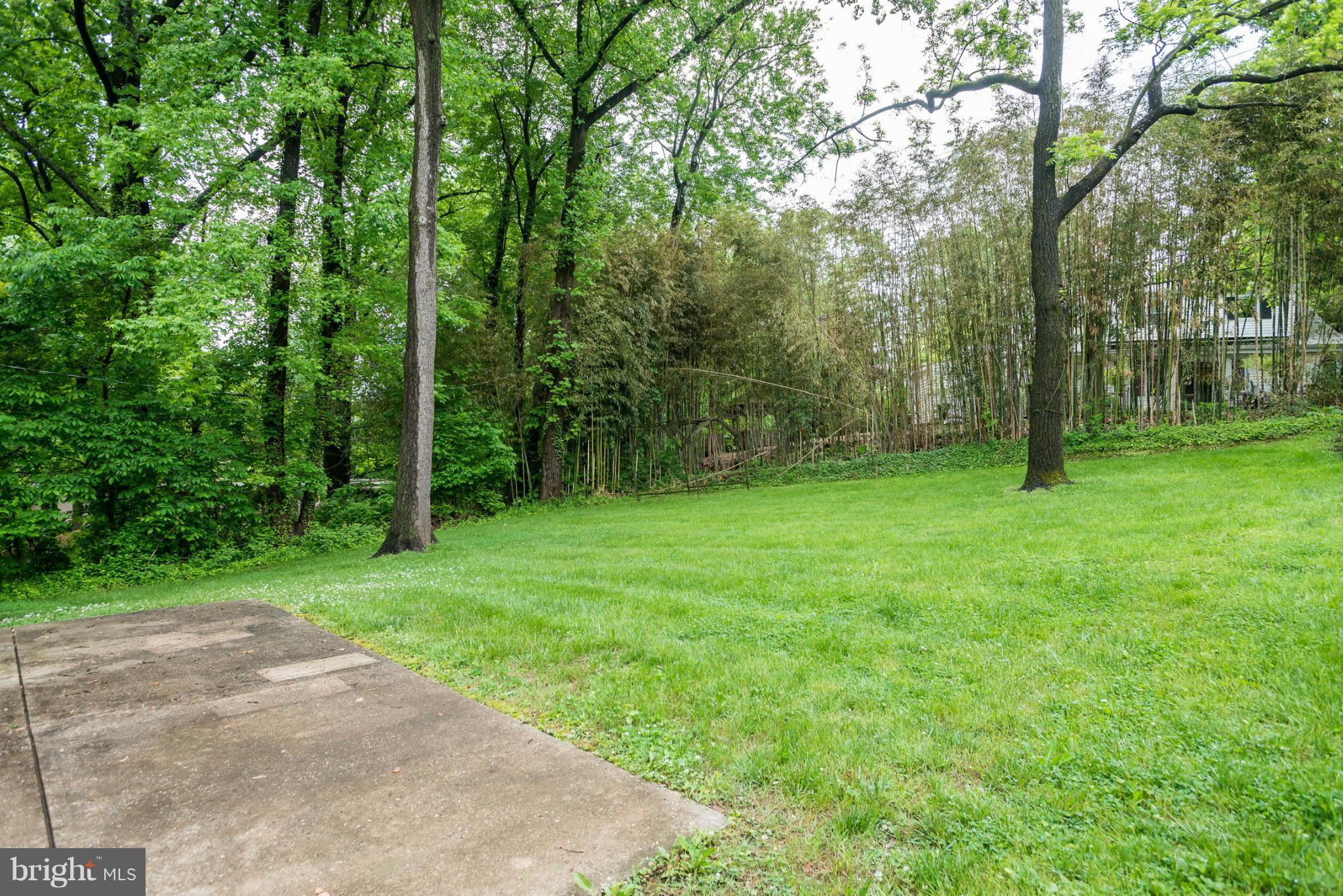 MOUNT WASHINGTON - Residential