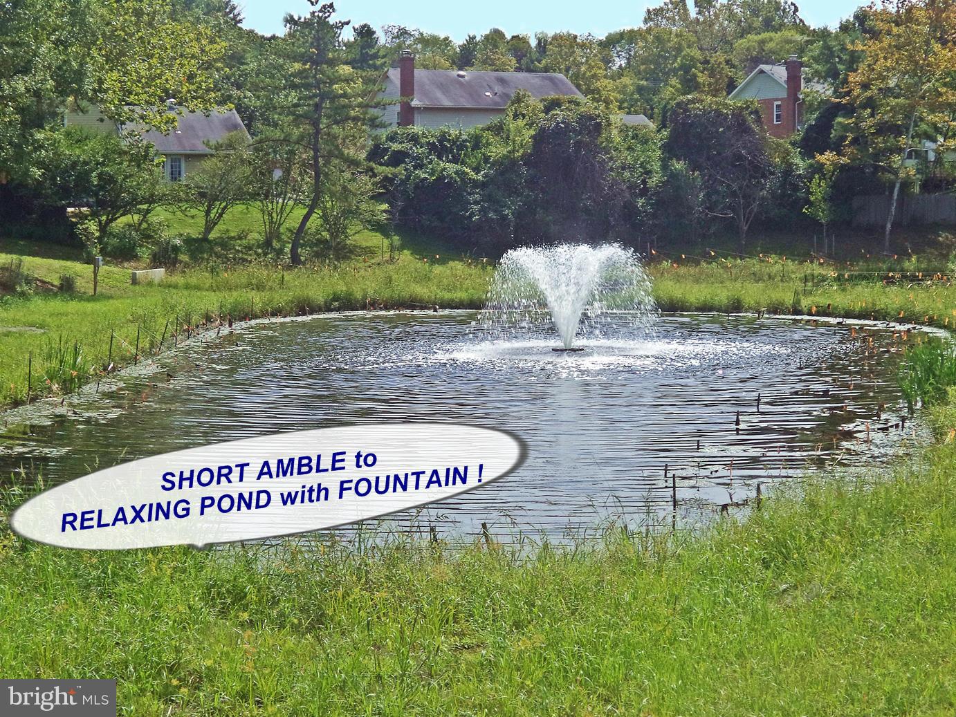 HORIZON HILL - Residential