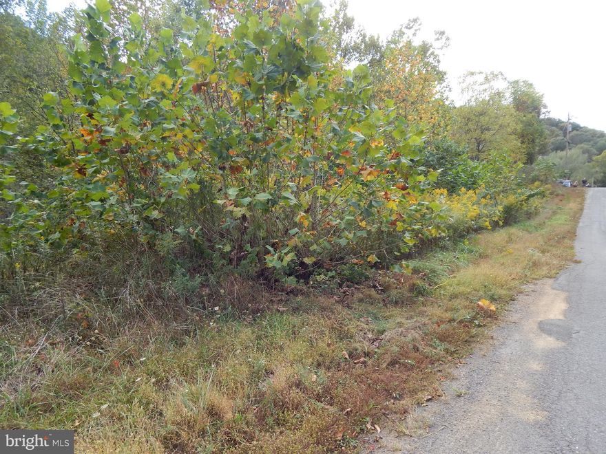 UNRESTRICTED lot with 1.25 Acres,  fronting county road.  Stream on back side of lot so portion of lot may be in the flood plain.   Located 7 miles East of Berkeley Springs.  No sign on lot