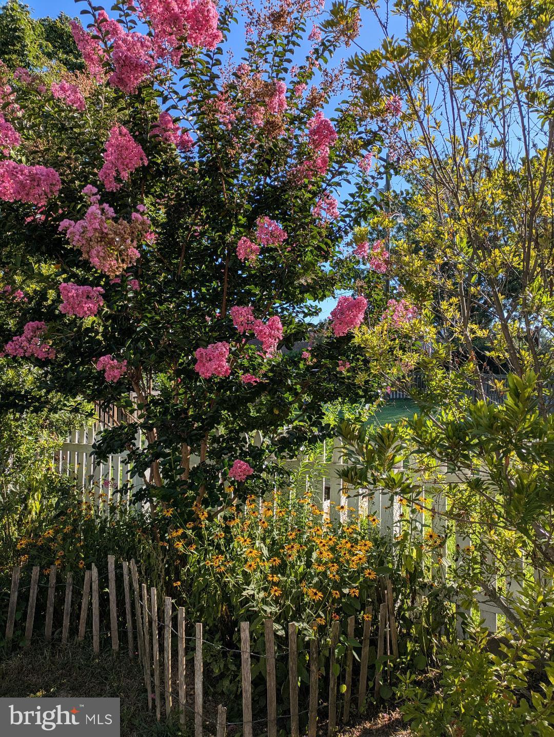 HISTORIC CENTREVILLE - Residential