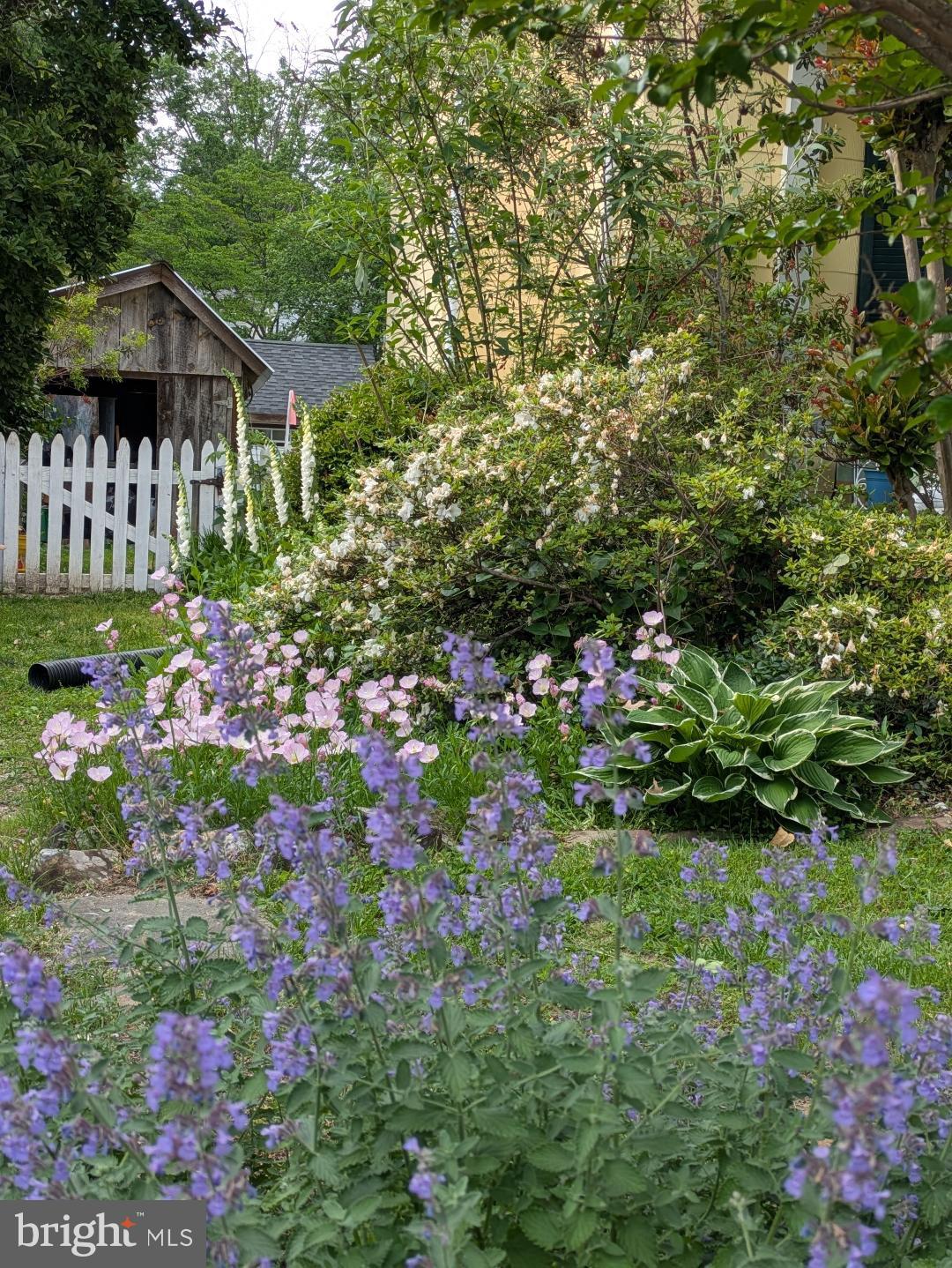 HISTORIC CENTREVILLE - Residential