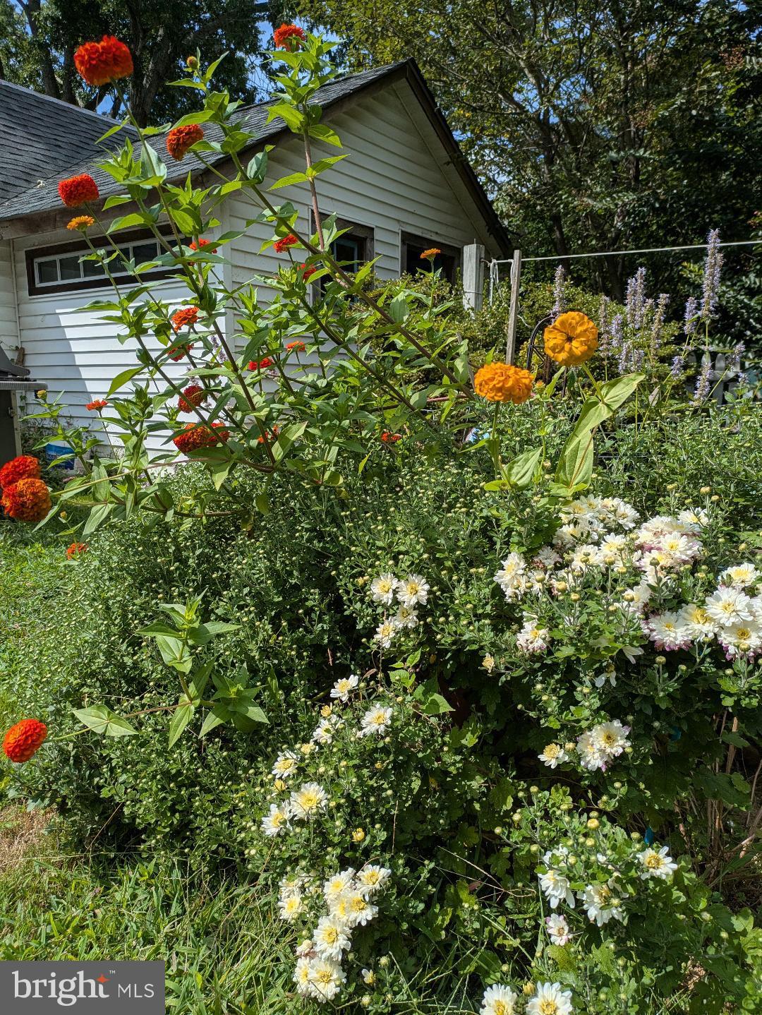 HISTORIC CENTREVILLE - Residential