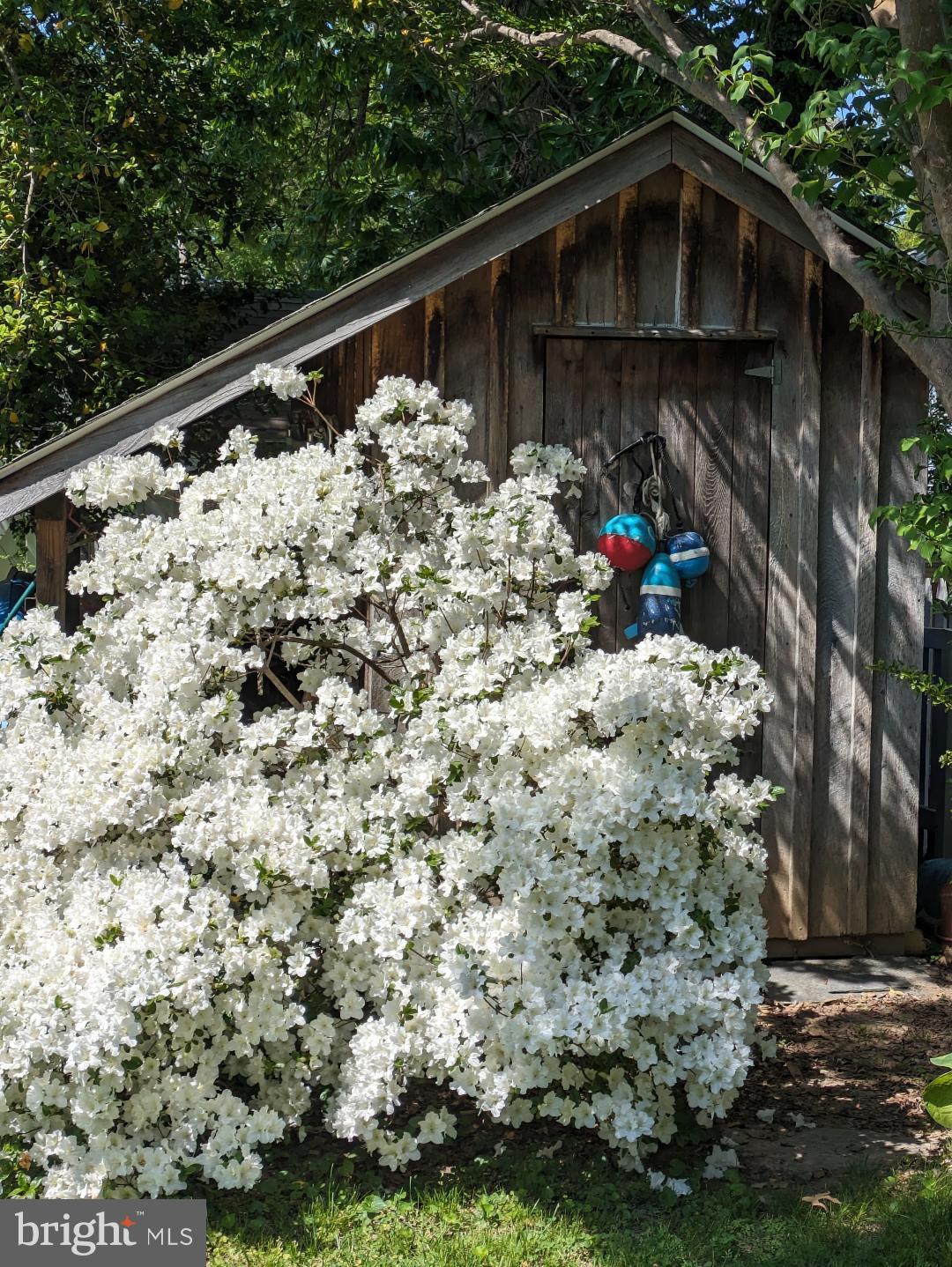 HISTORIC CENTREVILLE - Residential