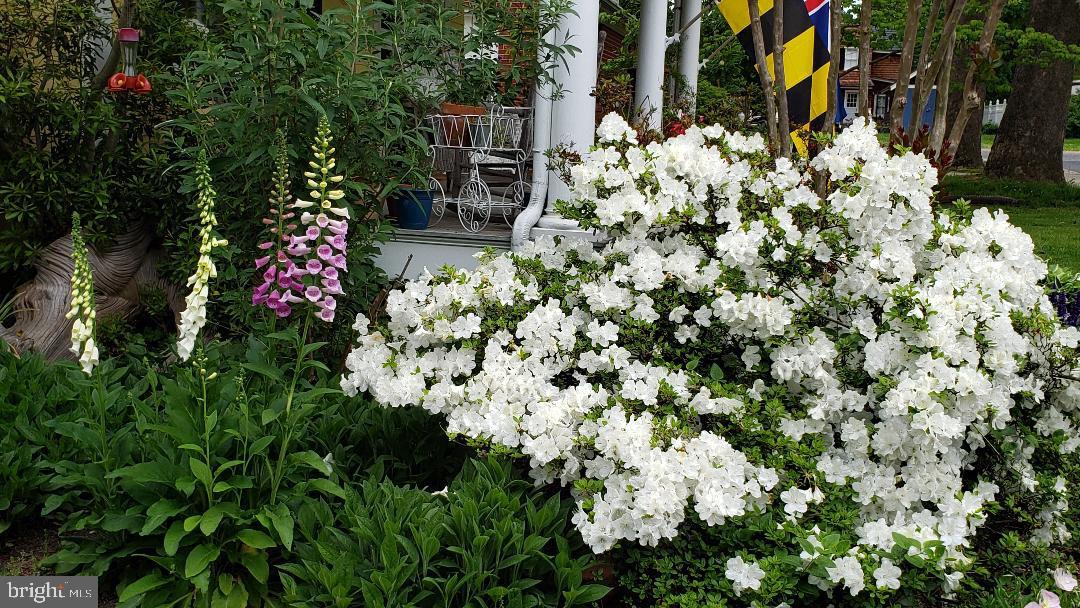 HISTORIC CENTREVILLE - Residential