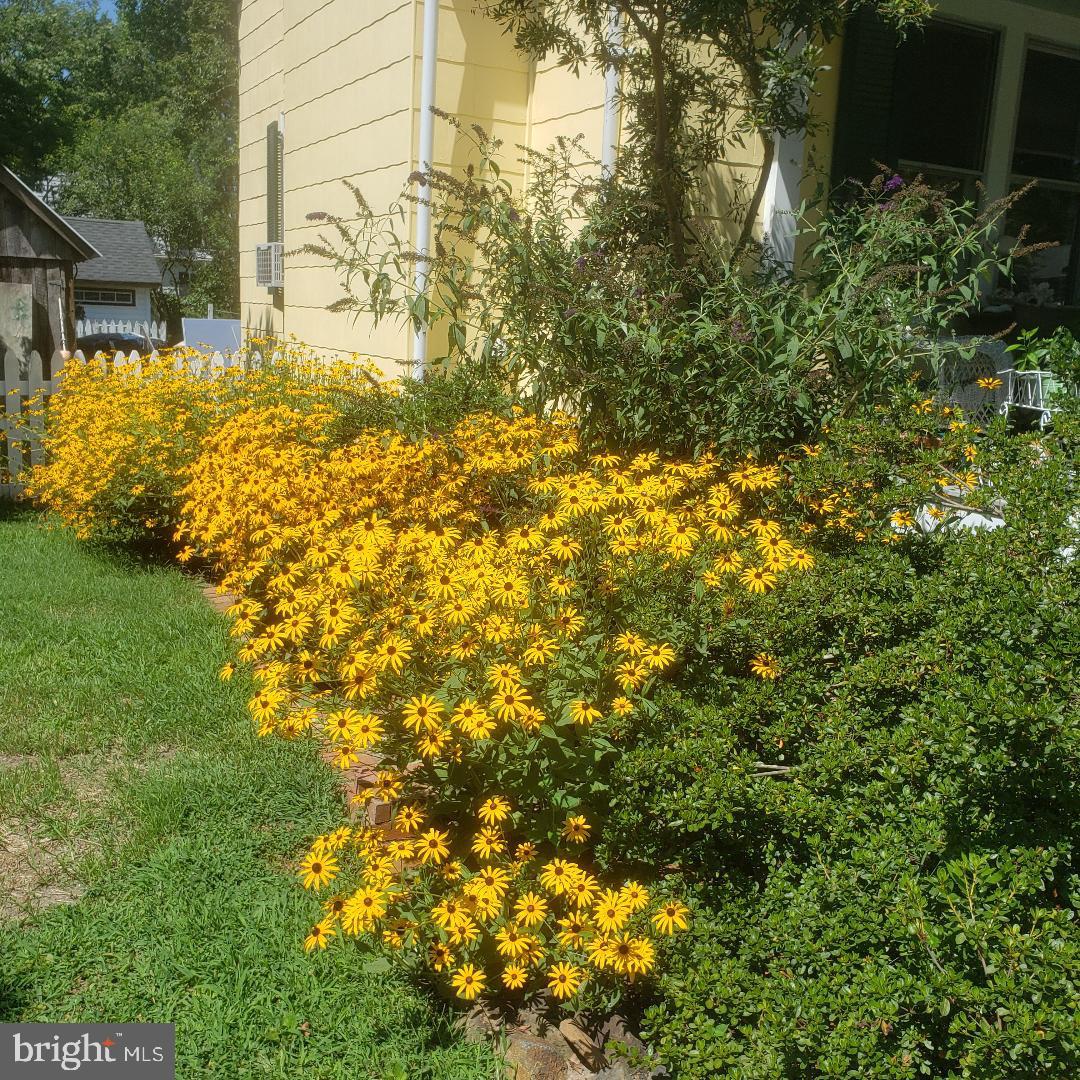 HISTORIC CENTREVILLE - Residential