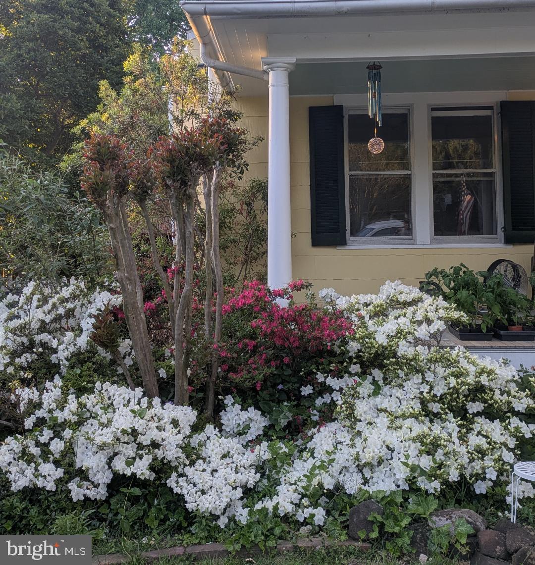 HISTORIC CENTREVILLE - Residential