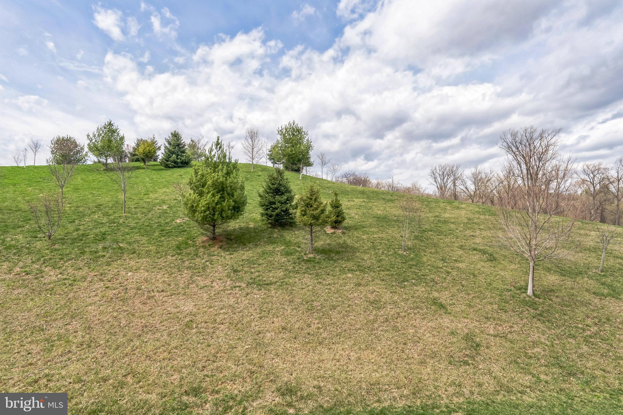 OAKS AT LAFAYETTE HILL - Residential