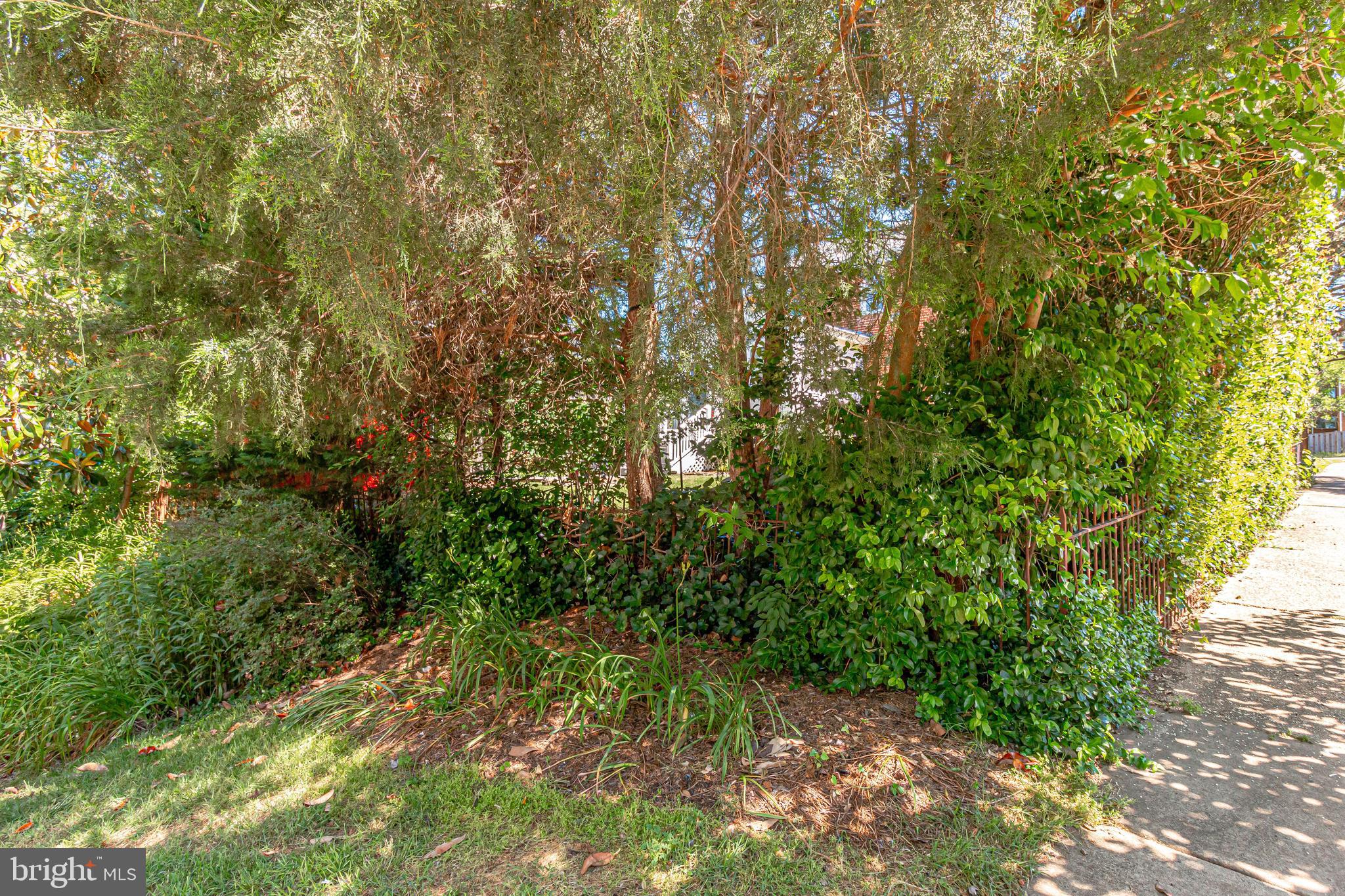 WAVERLY HILLS - Residential