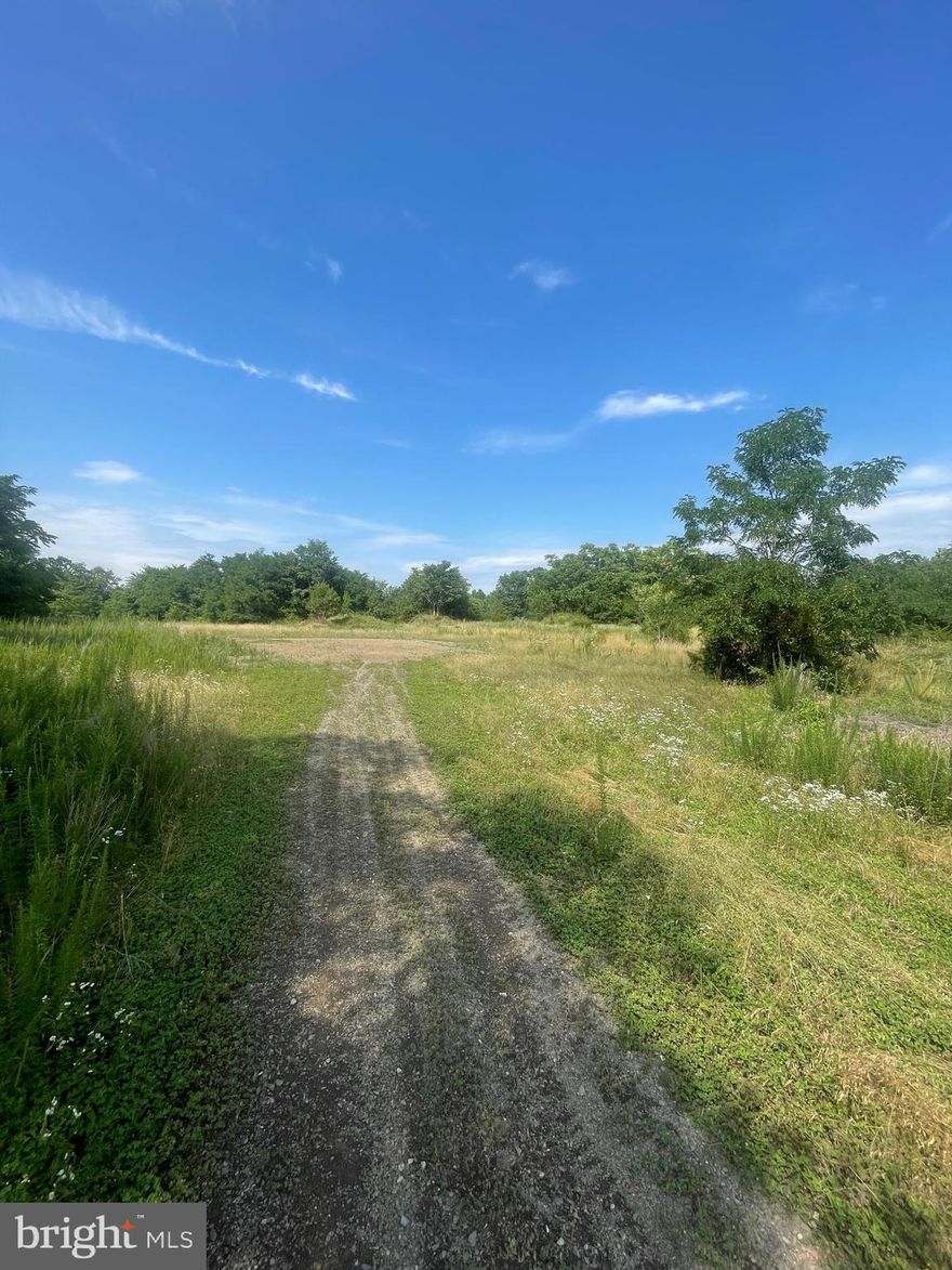 11.45 acres located in a fast-growing area near Spring Mills and minutes away from I-81. Public water and sewer available. Land was once approved for a subdivision but has expired and will need reapplied for and approved by the county. Great development potential!