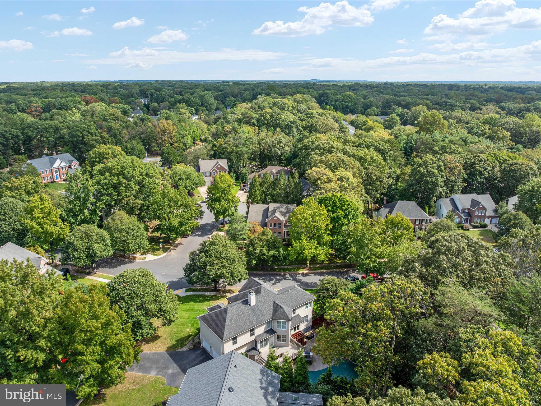 SHIPLEYS CHOICE - Residential