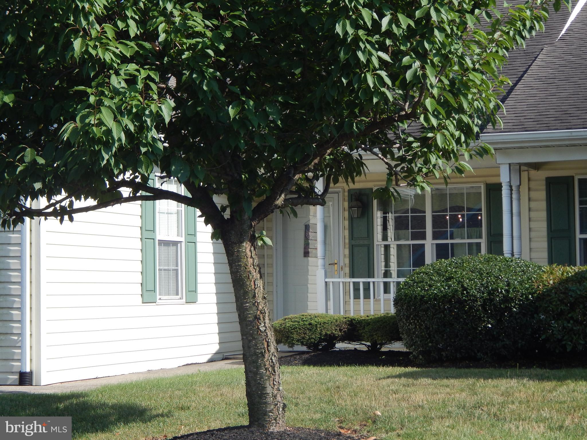 SHILOH RIDGE - Residential