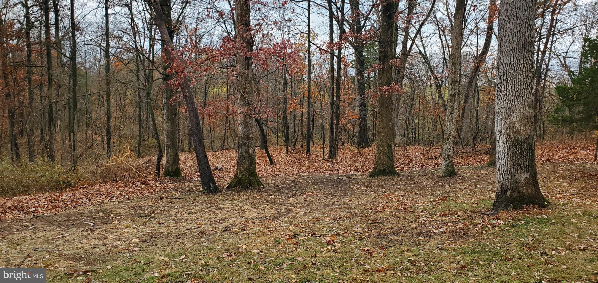 BLOSSERVILLE - Residential Lease