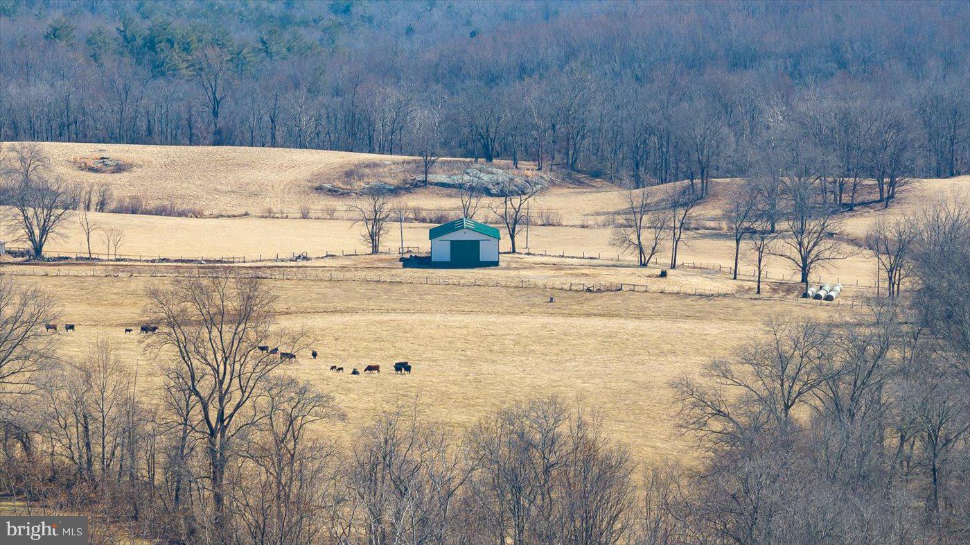 NONE AVAILABLE - Land