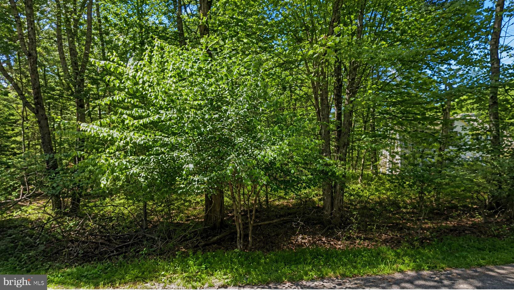 2460 PAWNEE TRL
