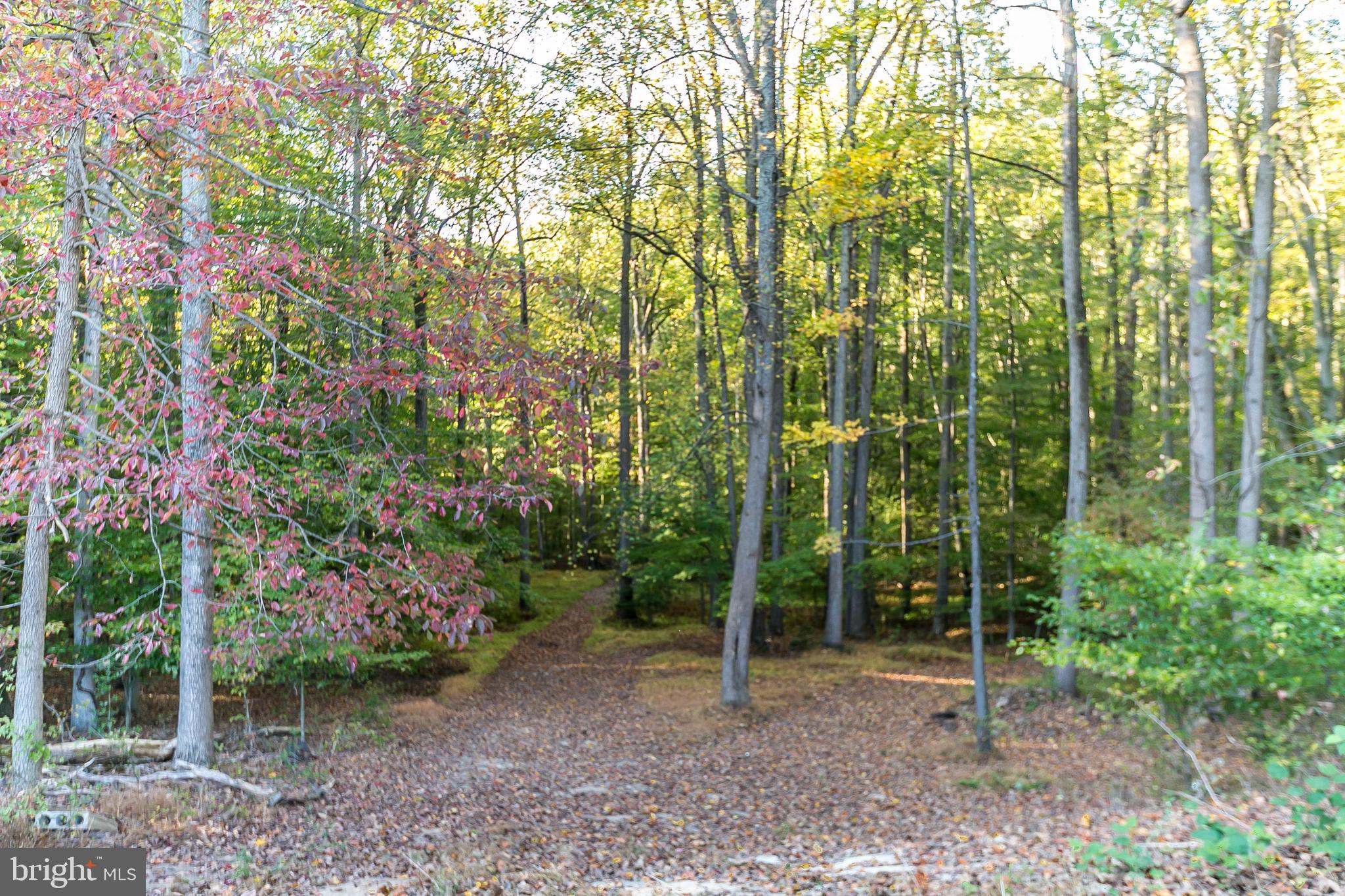 PHOENIX - Residential