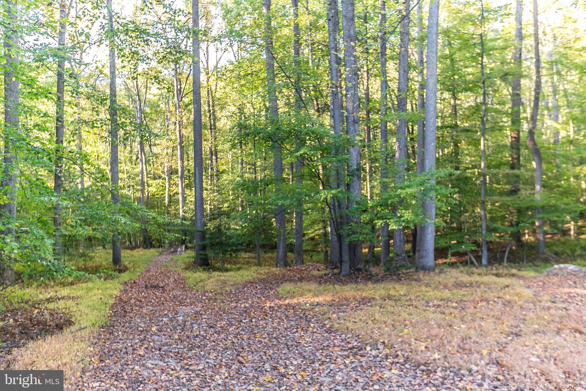 PHOENIX - Residential