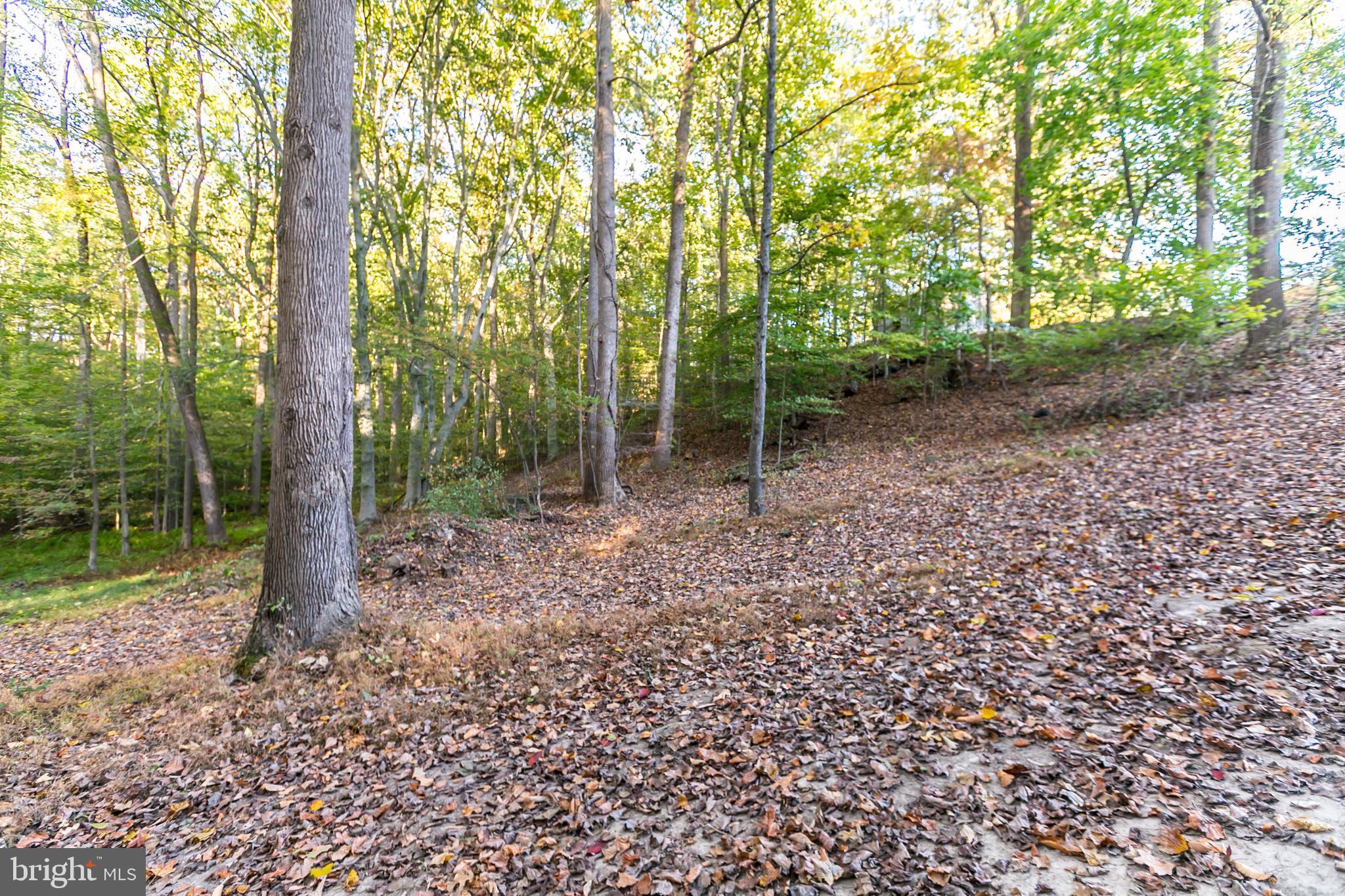 PHOENIX - Residential