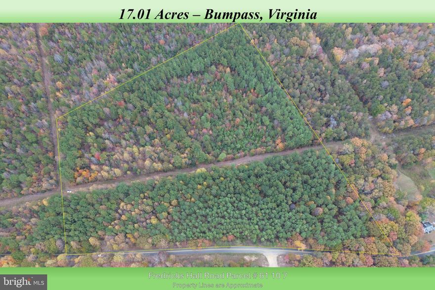Welcome to this 17 acre private wooded parcel near Lake Anna.  Come build your dream home as this lot offers a 4 bedroom perc with a conventional system. Whether you are looking to hunt, farm or enjoy other recreational activities the opportunities are endless. Don't wait to call this your own!