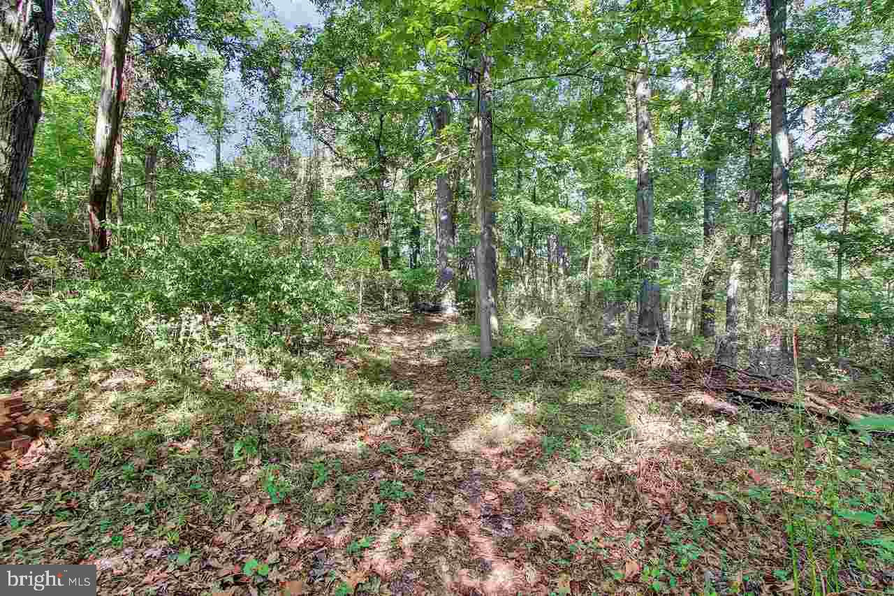 NONE AVAILABLE - Land