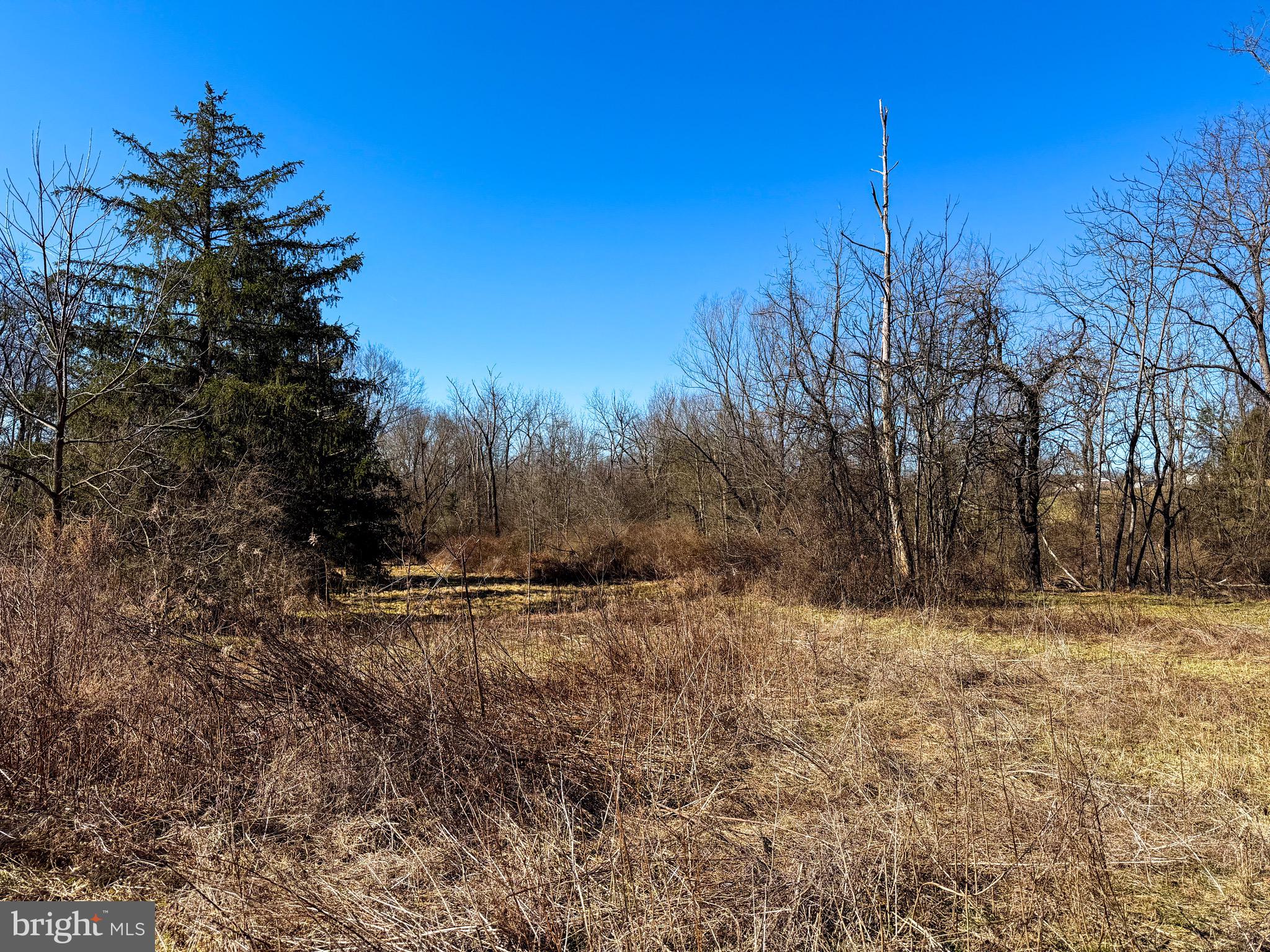 NONE AVAILABLE - Land