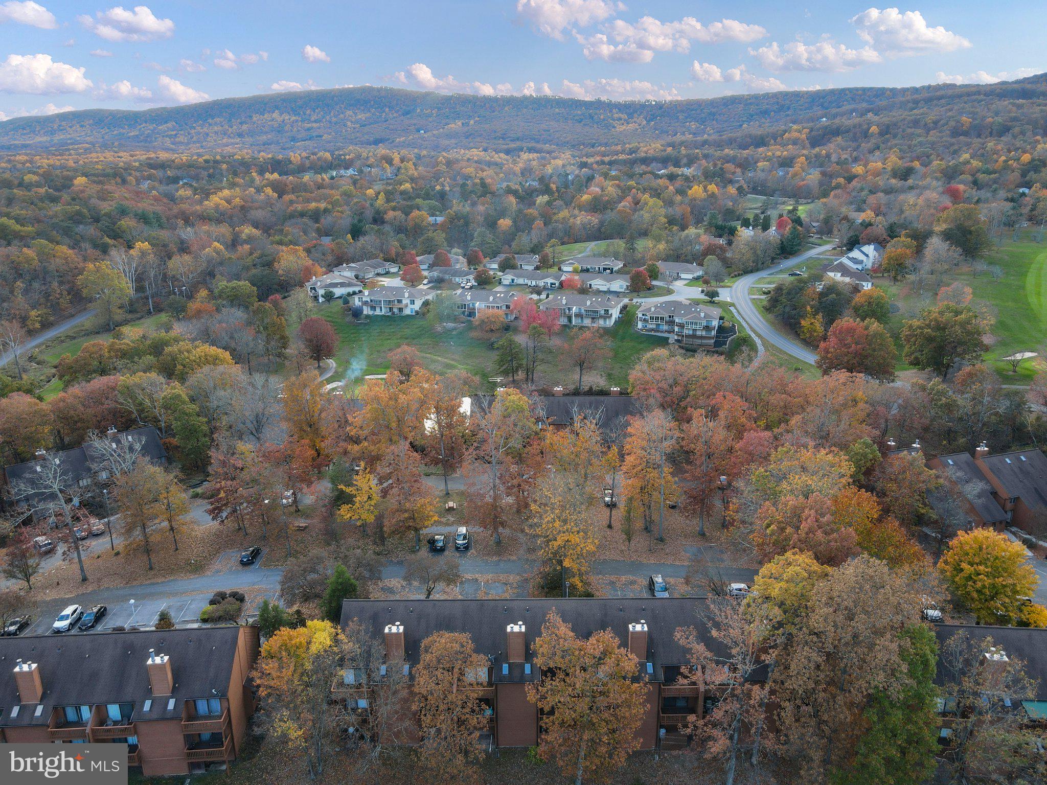 THE WOODS - Residential