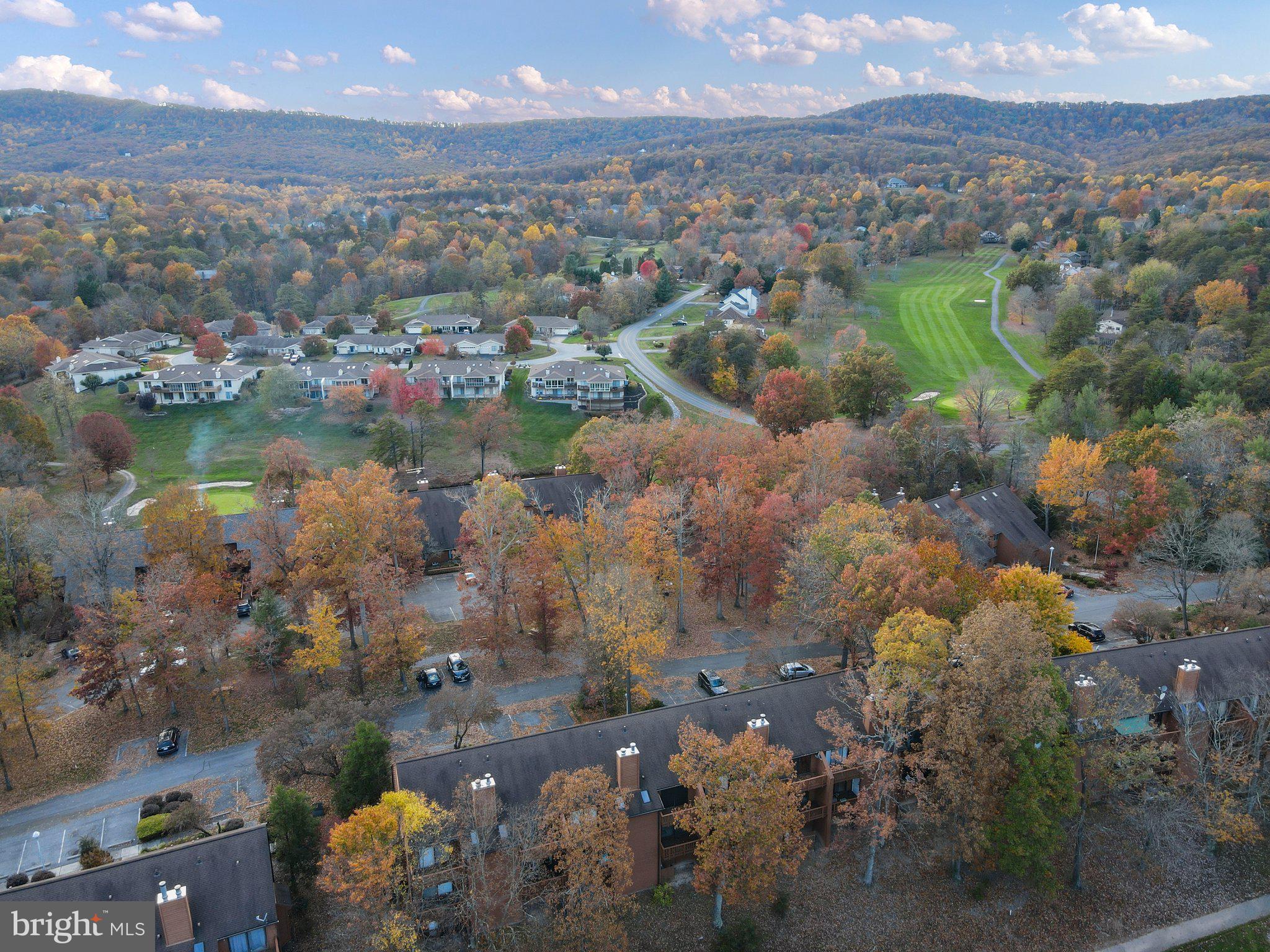 THE WOODS - Residential