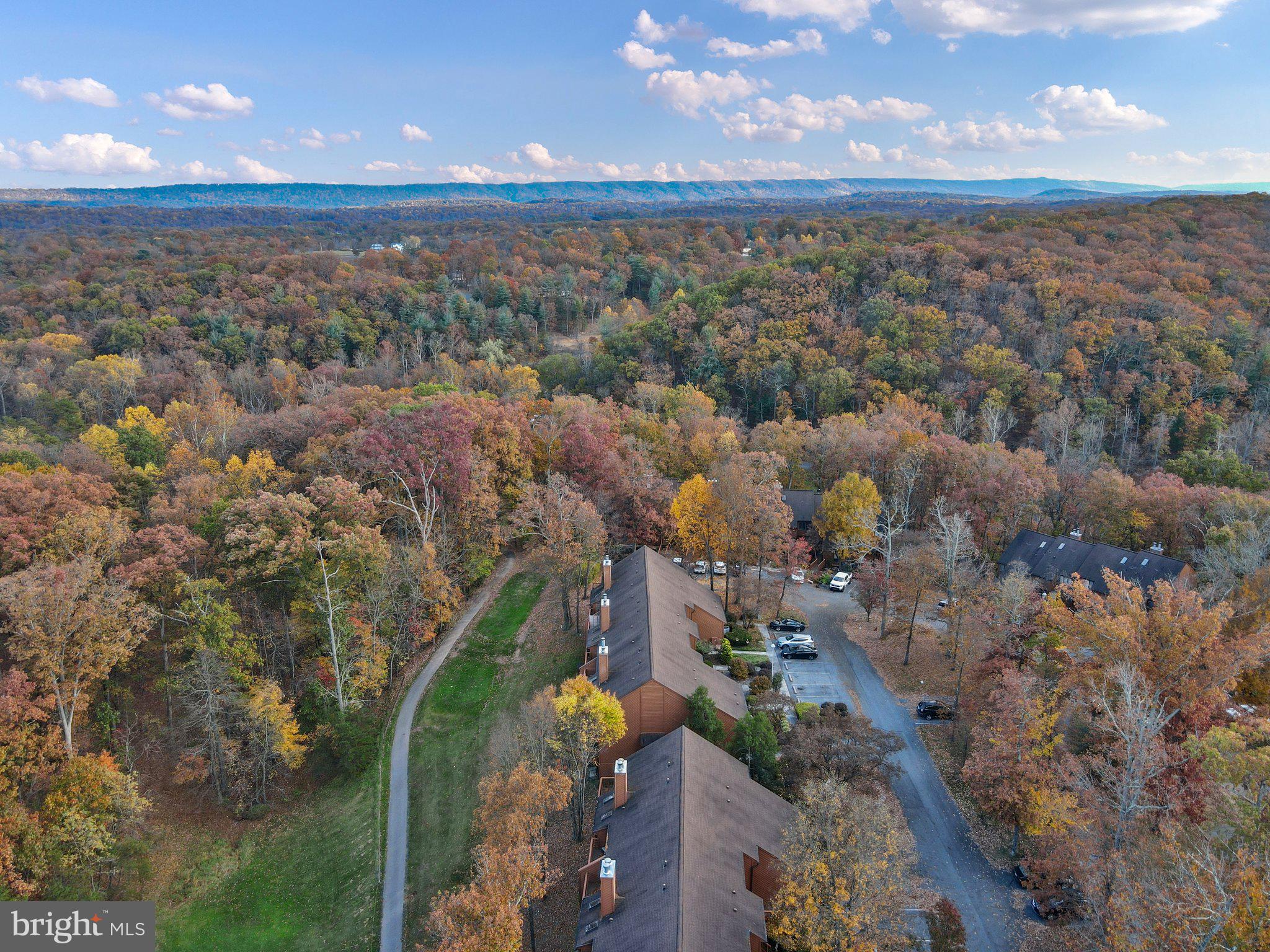 THE WOODS - Residential