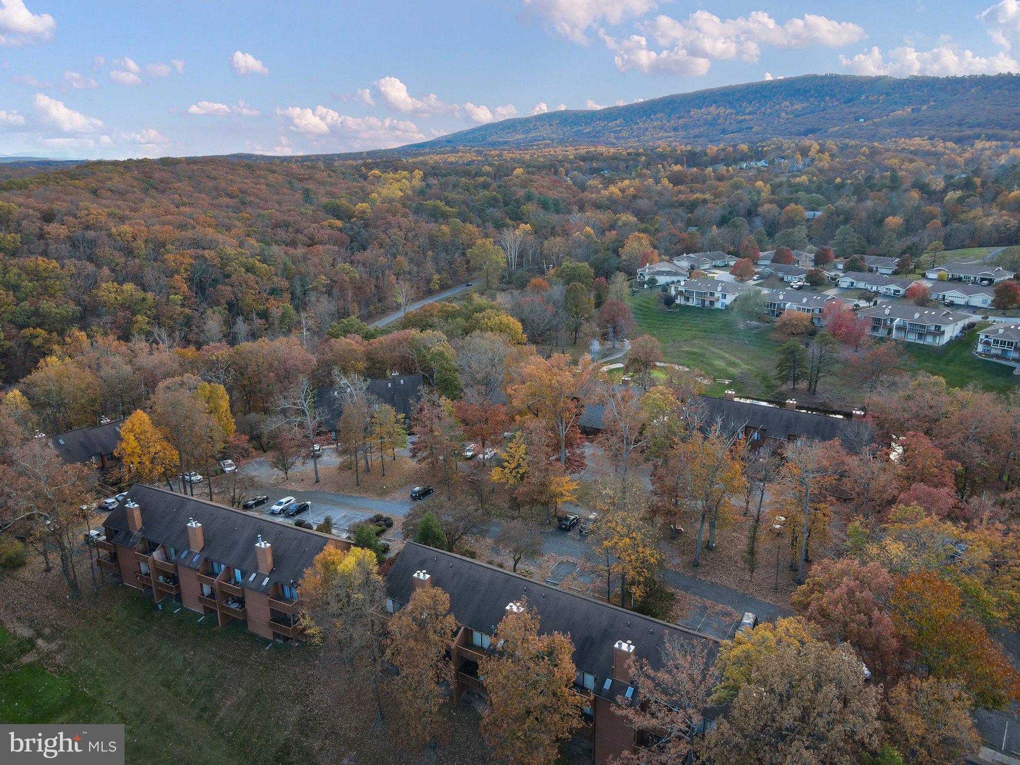 THE WOODS - Residential