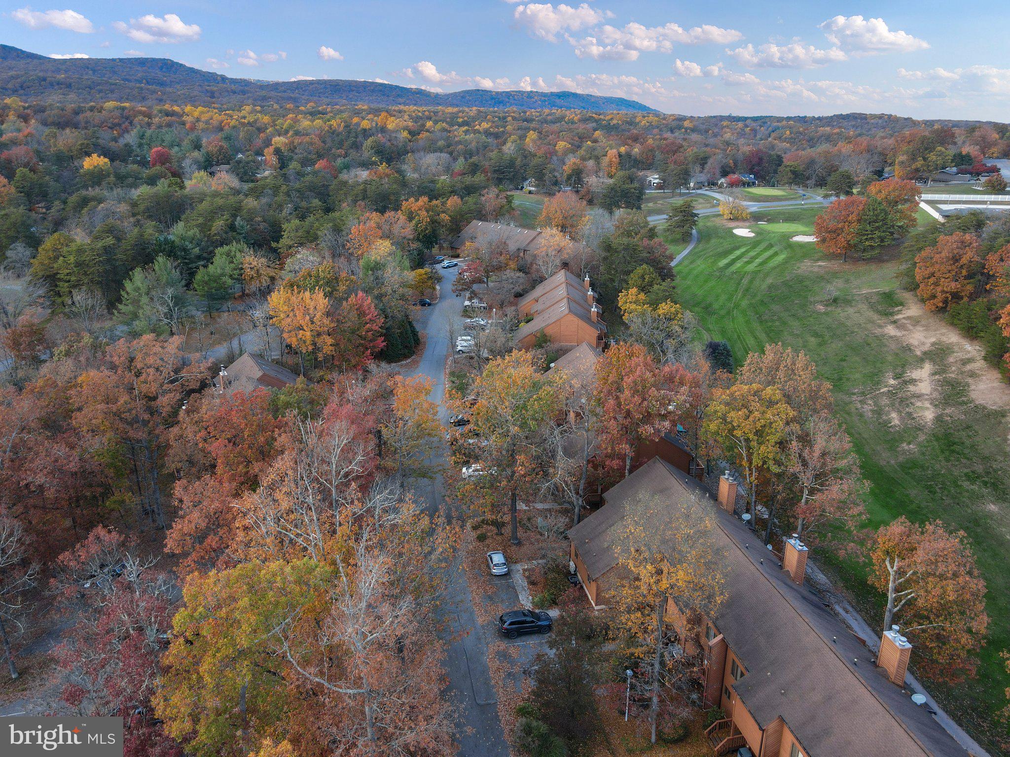 THE WOODS - Residential