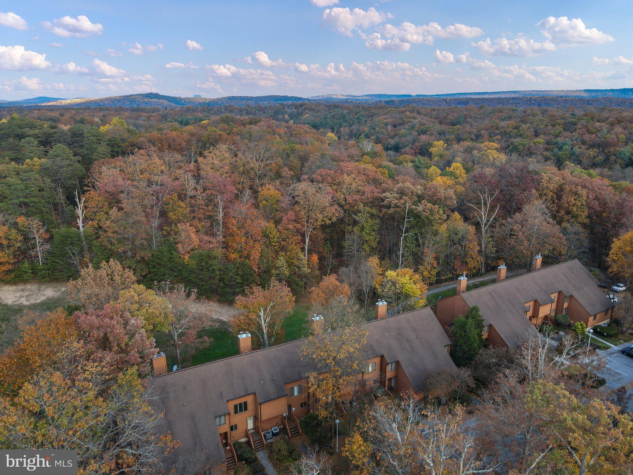 THE WOODS - Residential