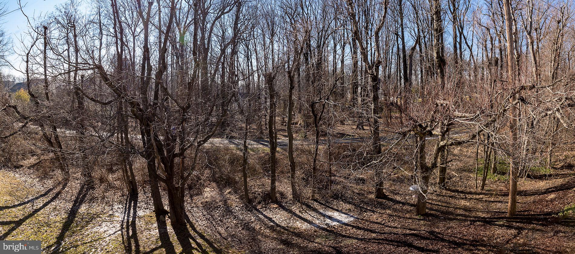 TYSONS WOODS - Residential