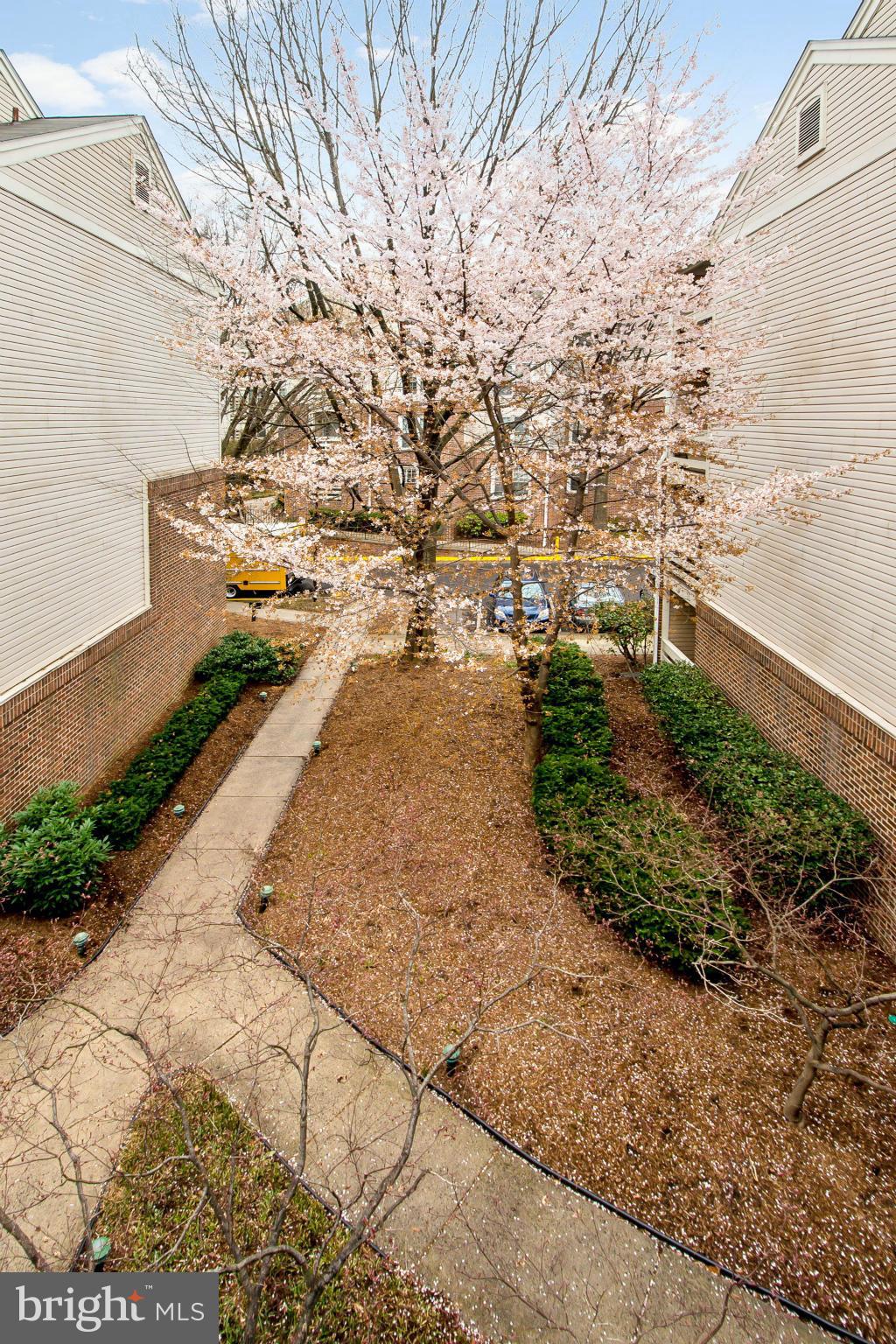 REYNOLDS PROSPECT - Residential