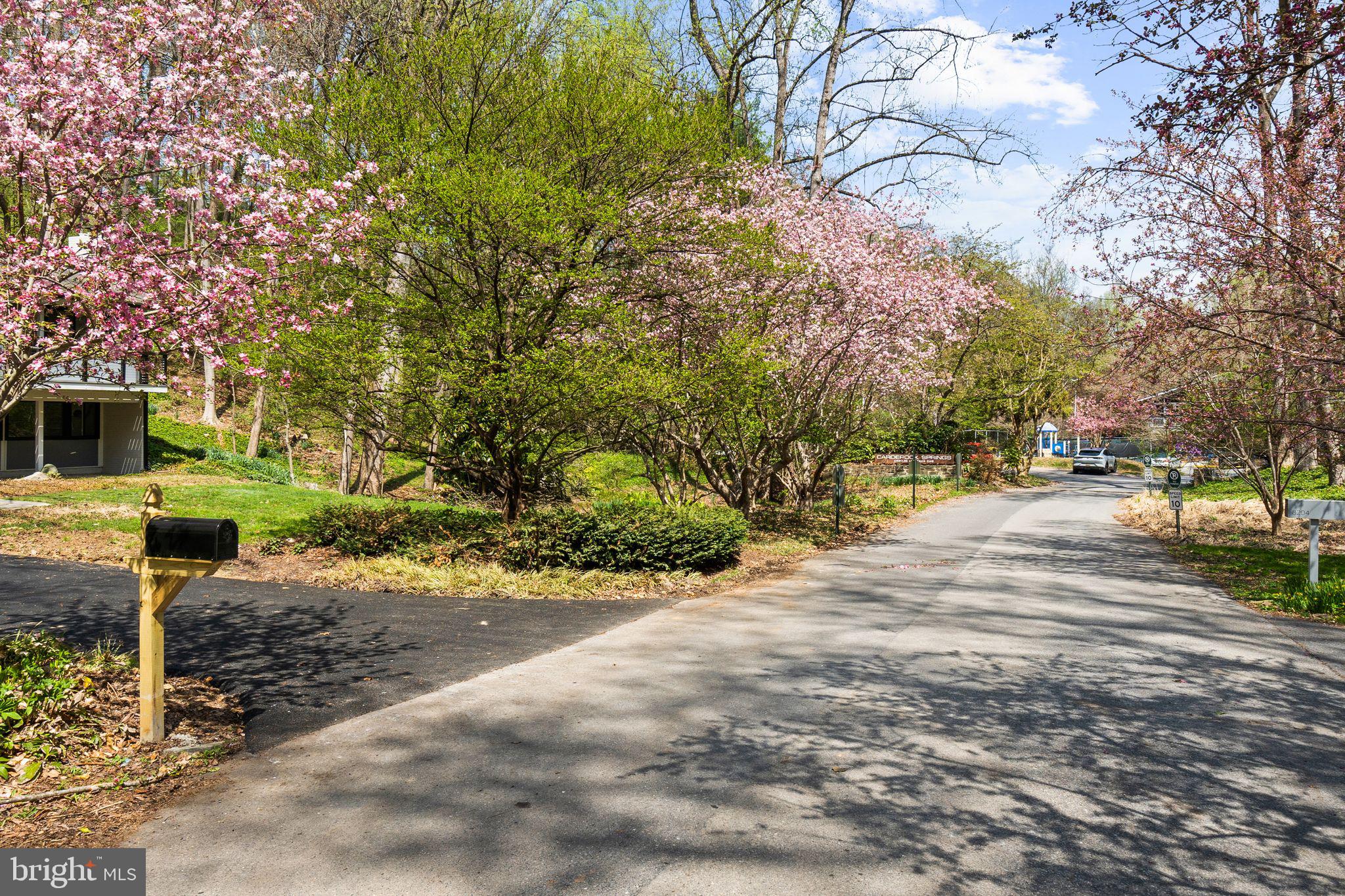 CARDEROCK SPRINGS - Residential